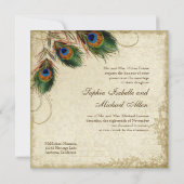 Pfau & Feathers Feierliche Hochzeit Tee fest Einladung (Rückseite)