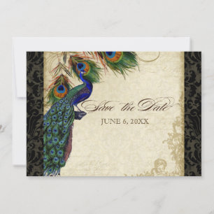 Pfau & Feathers Formal Save the Date Black Tan