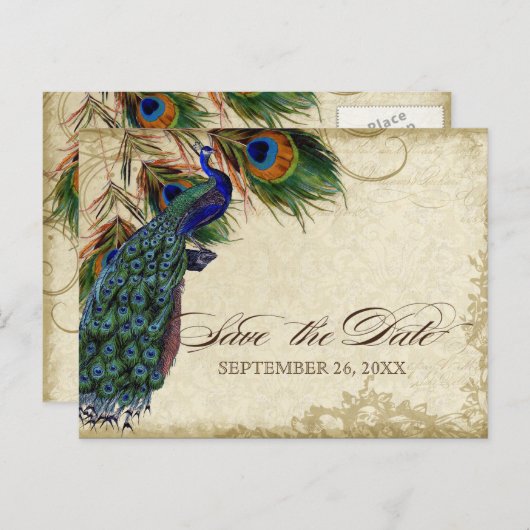 Pfau & Feathers Formal Save the Date Black Tan Ankündigungspostkarte (Vorne/Hinten)