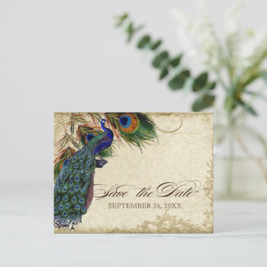 Pfau & Feathers Formal Save the Date Black Tan Ankündigungspostkarte (Stehend Vorderseite)
