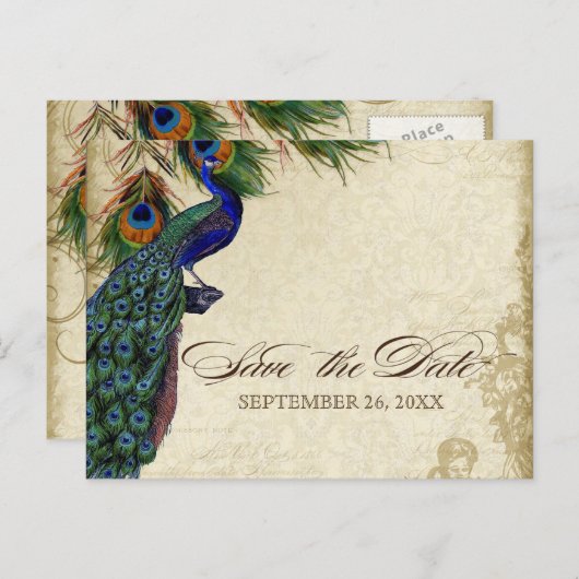 Pfau & Feathers Formal Save the Date Black Tan Ankündigungspostkarte (Vorne/Hinten)
