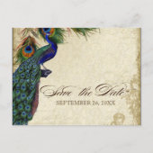 Pfau & Feathers Formal Save the Date Black Tan Ankündigungspostkarte (Vorderseite)