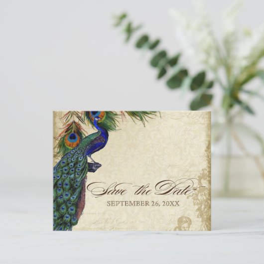 Pfau & Feathers Formal Save the Date Black Tan Ankündigungspostkarte (Stehend Vorderseite)