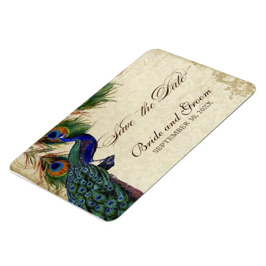 Pfau & Feathers Formal Save the Date Black Tan Magnet (Linke Seite)