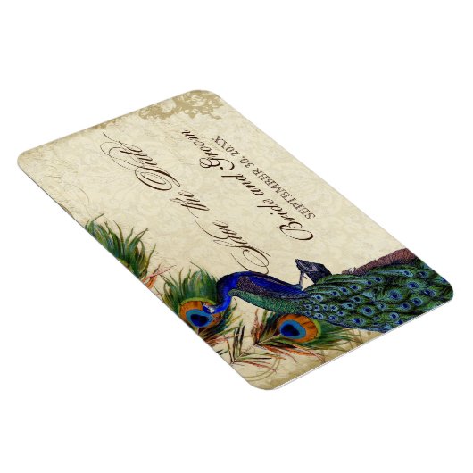 Pfau & Feathers Formal Save the Date Black Tan Magnet (Rechte Seite)