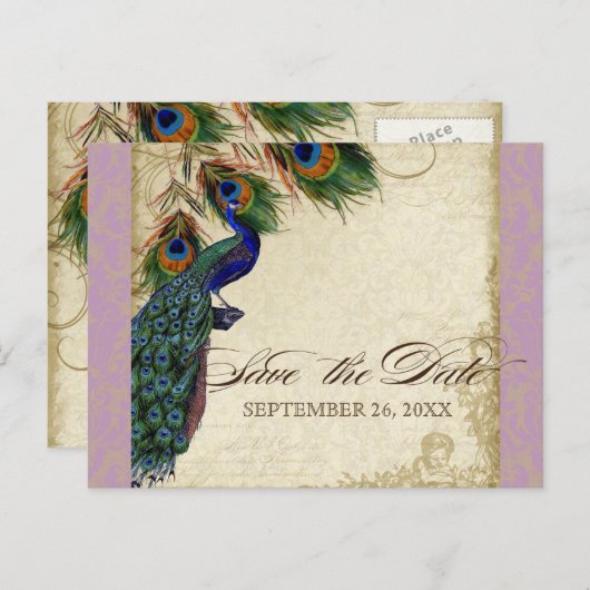 Pfau & Feathers Formal Save the Date Lavender Ankündigungspostkarte (Vorne/Hinten)