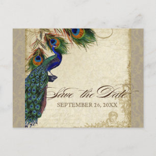 Pfau & Feathers Formal Save the Date Taupe Ankündigungspostkarte