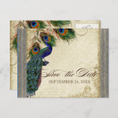 Pfau & Feathers Formbares Save the Date Silber Ankündigungspostkarte (Vorne/Hinten)