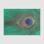 Pfau-Feder auf Grün Seidenpapier (Vorderseite)