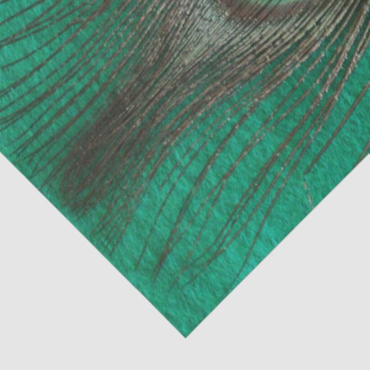 Pfau-Feder auf Grün Seidenpapier (Ausschnitt)