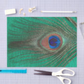 Pfau-Feder auf Grün Seidenpapier (Handwerk)