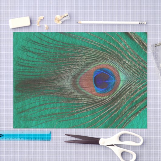 Pfau-Feder auf Grün Seidenpapier (Handwerk)