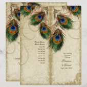 Pfau & Feder Elegantes passendes Hochzeitsprogramm (Vorne/Hinten)