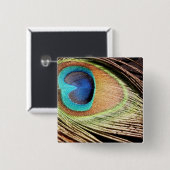 Pfau-Feder entwirft quadratisches Button (Vorne & Hinten)