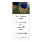 Pfau-Feder-Gestell-Karten Werbekarte (Vorne)