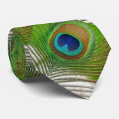 Pfau-Feder Krawatte (Gerollt)