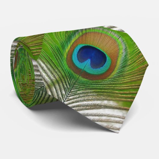 Pfau-Feder Krawatte (Gerollt)