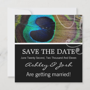Pfau-Feder lädt Save the Date ein
