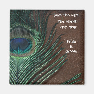 Pfau-Feder mit Brown und Gold Magnet