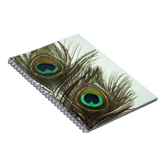 Pfau-Feder-Notizbuch Notizblock (Rechte Seite)