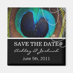 Pfau-Feder-Save the Date Magneten Magnet