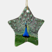 Pfau-Feder-Verzierung Keramikornament (Rechts)