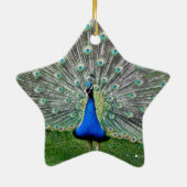 Pfau-Feder-Verzierung Keramikornament (Hinten)