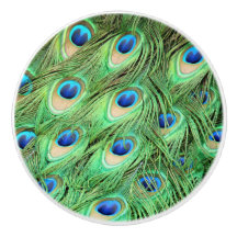 Pfau-Feder-zieht grünes Vogel-Fach Griffe