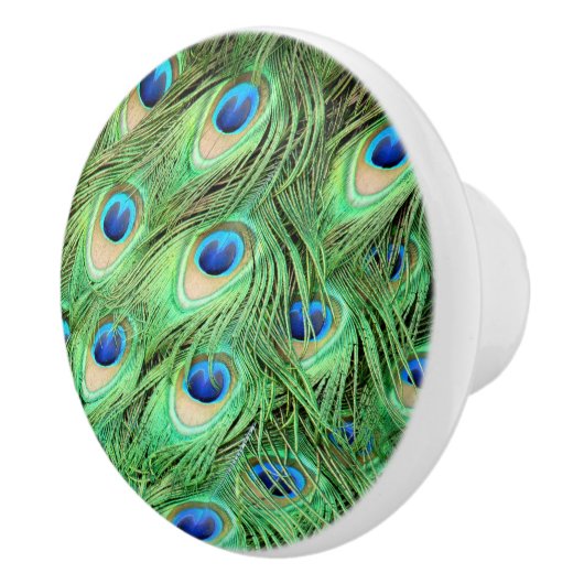 Pfau-Feder-zieht grünes Vogel-Fach Griffe (Rechts)