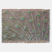 Pfau-Federn Decke (Vorderseite)