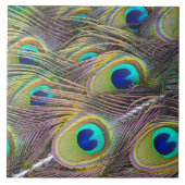 Pfau-Federn Fliese (Vorderseite)