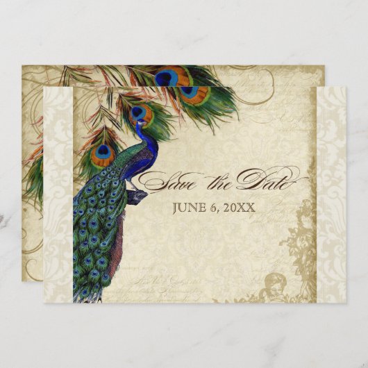 Pfau & Federn Formal Save the Date Creme Einladung (Vorne/Hinten)