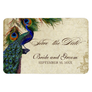 Pfau & Federn Formal Save the Date Schwarz Beige Magnet
