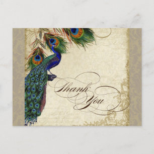 Pfau & Federn Formale Dankeskarte Aqua Blau Postkarte
