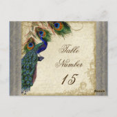 Pfau & Federn Formale Hochzeitstischnummern Postkarte (Rückseite)