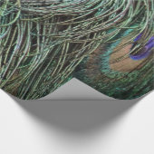Pfau-Federn Geschenkpapier (Ecke)
