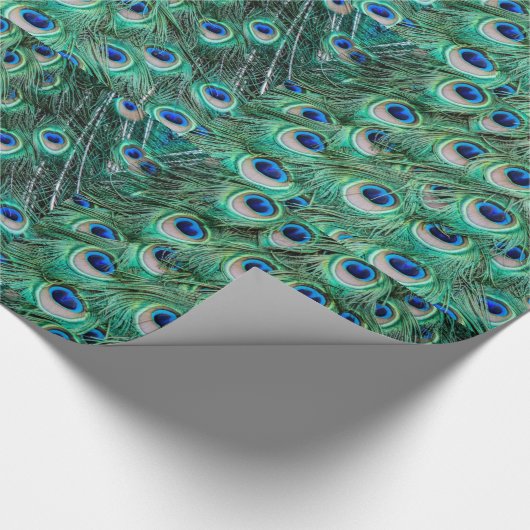Pfau-Federn Geschenkpapier (Ecke)