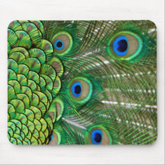 Pfau-Federn Mousepad