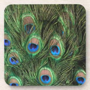 Pfau-Federn Untersetzer