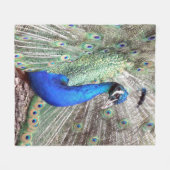 Pfau-Fleece-Decke Fleecedecke (Vorderseite (Horizontal))