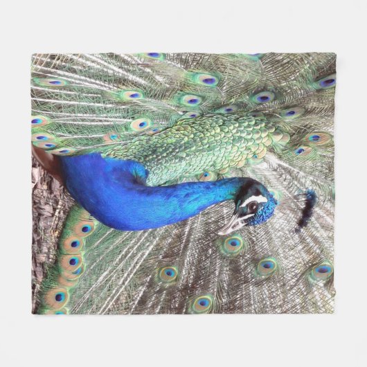 Pfau-Fleece-Decke Fleecedecke (Vorderseite (Horizontal))