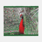 Pfau-Fleece-Decke Fleecedecke (Vorderseite (Horizontal))