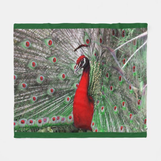 Pfau-Fleece-Decke Fleecedecke (Vorderseite (Horizontal))