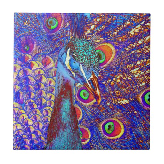 Pfau Fliese (Vorderseite)