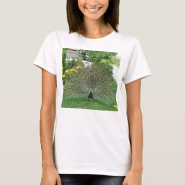 Pfau Foto Frauengrundsatz, Weiß T-Shirt