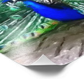 Pfau Fotodruck (Ecke)