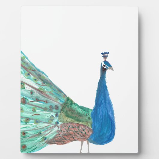 Pfau Fotoplatte (Vorderseite)