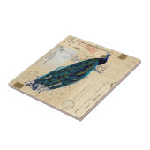 Pfau-französische Postkarten Fliese oder Trivet (Seite)