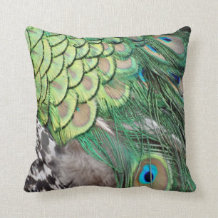 Pfau-Freude Kissen