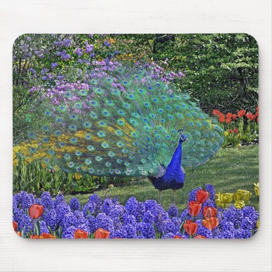 Pfau-Frühling Fowers 2 Mousepad (Vorne)